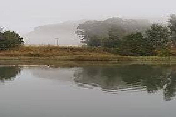 The Old Hatchery