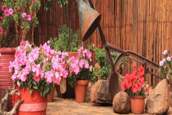 Birdsong Guesthouse
