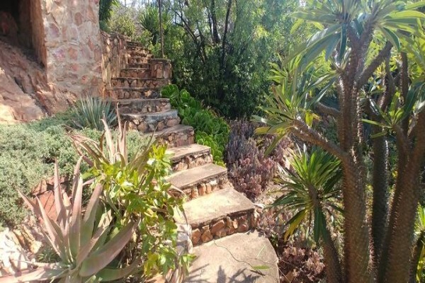 Aloe Guesthouse