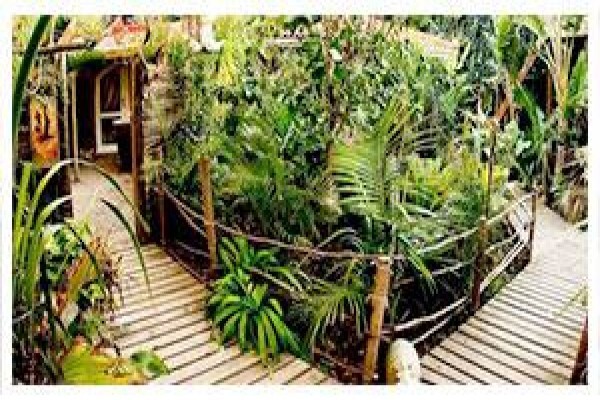 Bamboo The Guest House Knysna