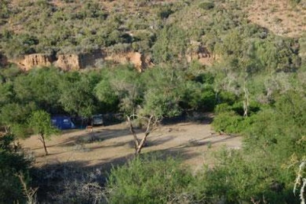 Campsa