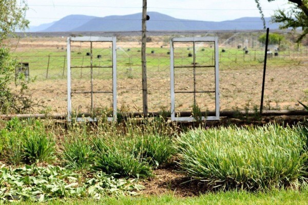 Melrose Guest Farm