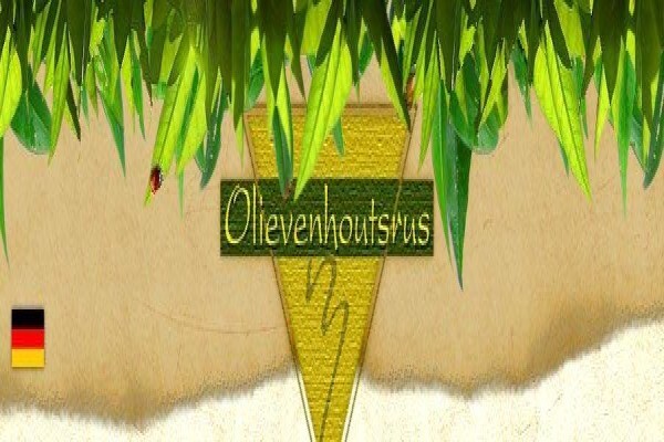 Olievenhoutsrus Guest And Game Farm