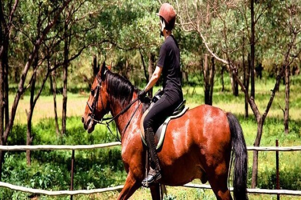 Olievenhoutsrus Guest And Game Farm