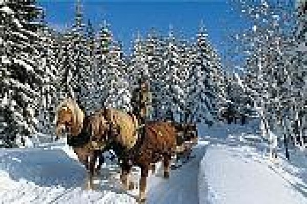 Skiaustria
