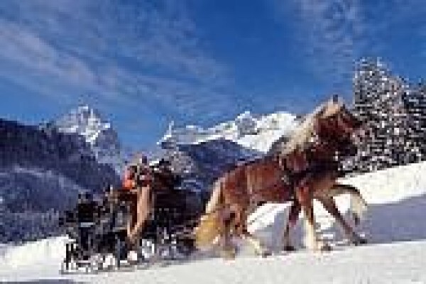 Skiaustria