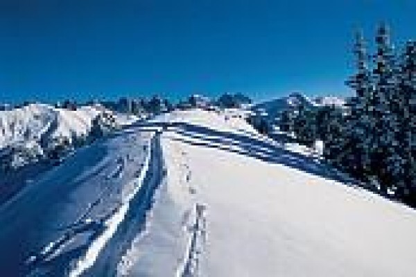 Skiaustria