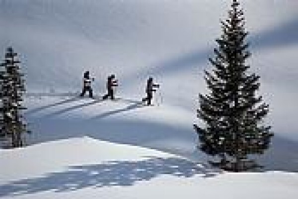 Skiaustria