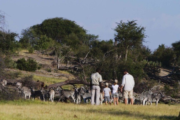 Ecosouth Travel