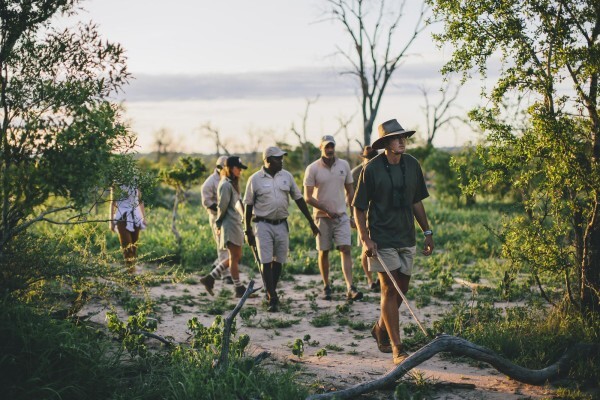 Ecosouth Travel