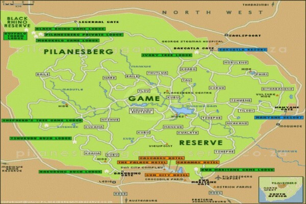 Skylink Airport Shuttle Services South Africa