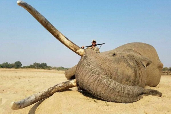 Stone Hunting Safaris