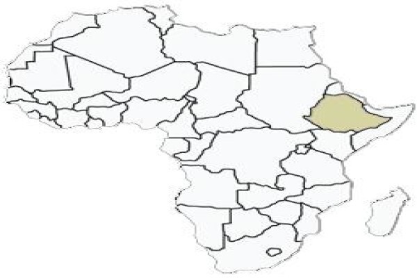 Stone Hunting Safaris