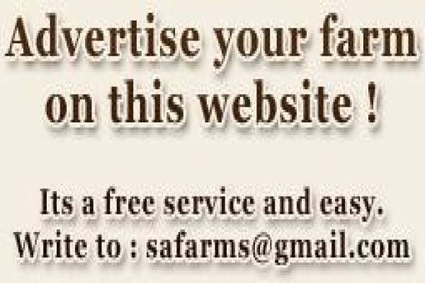 Exclusive Farms Cc.