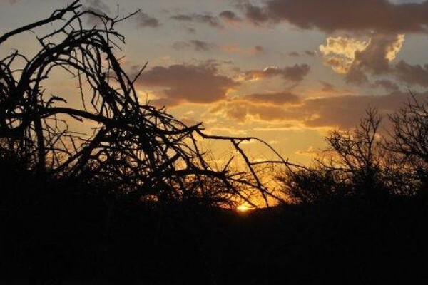 Ilanga Game Lodge