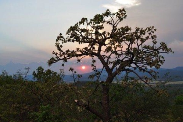 Ilanga Game Lodge