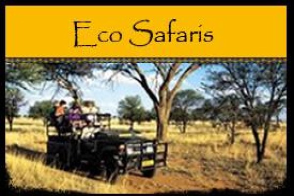 Ilanga Game Lodge
