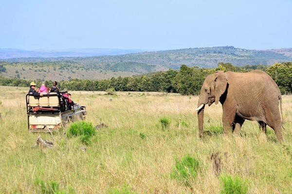 Kichaka 5 Star Luxury Eastern Cape Game Lodge