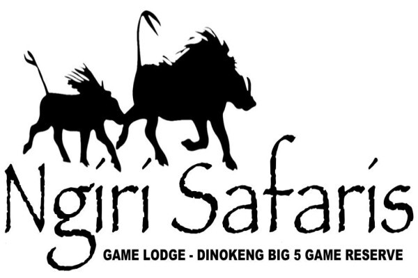 Ngiri Safaris