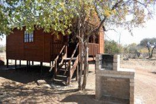 Ngiri Safaris