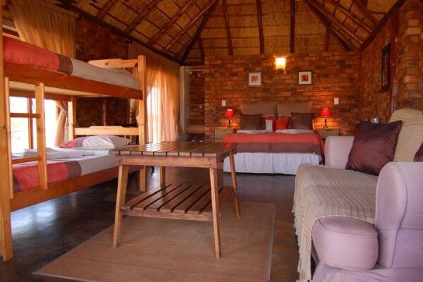 Ngiri Safaris