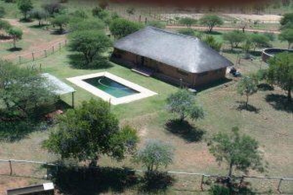 Ngiri Safaris