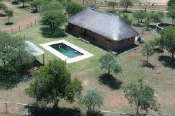 Ngiri Safaris