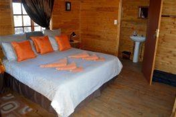 Ngiri Safaris