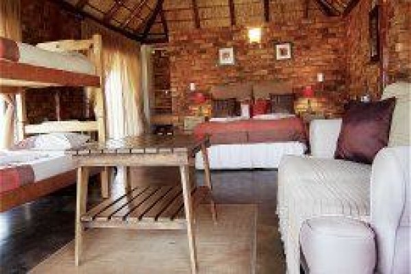 Ngiri Safaris