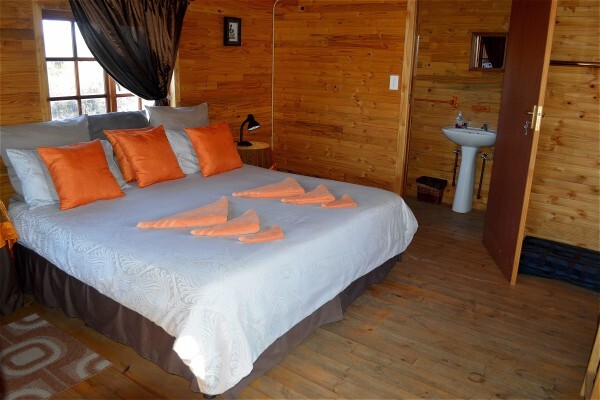 Ngiri Safaris
