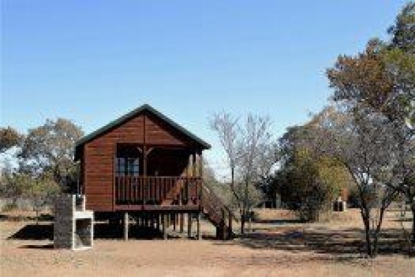 Ngiri Safaris