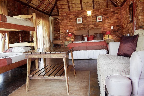 Ngiri Safaris