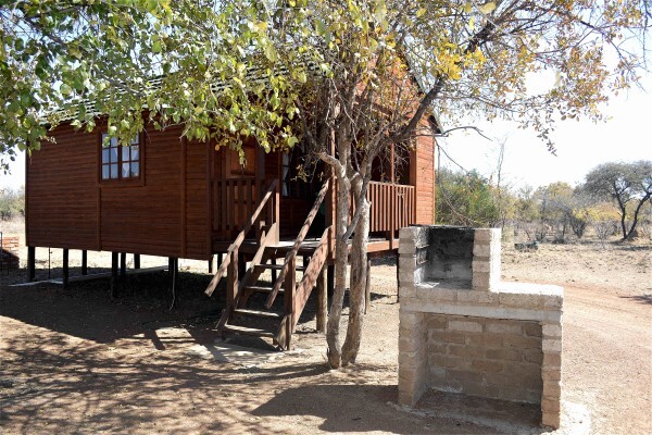 Ngiri Safaris