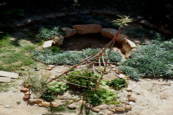 Samhitakasha Cob House