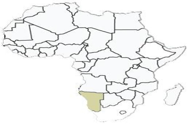 Stone Hunting Safaris