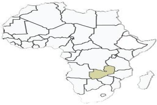 Stone Hunting Safaris