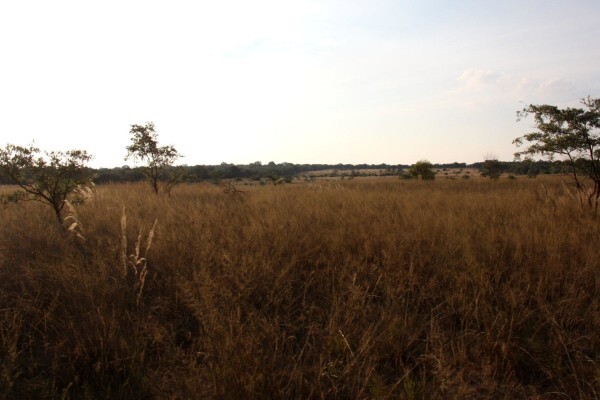 Mount Hope Private Game Reserve
