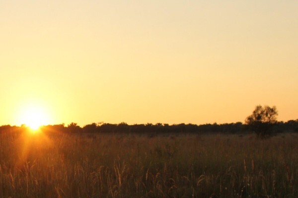 Mount Hope Private Game Reserve