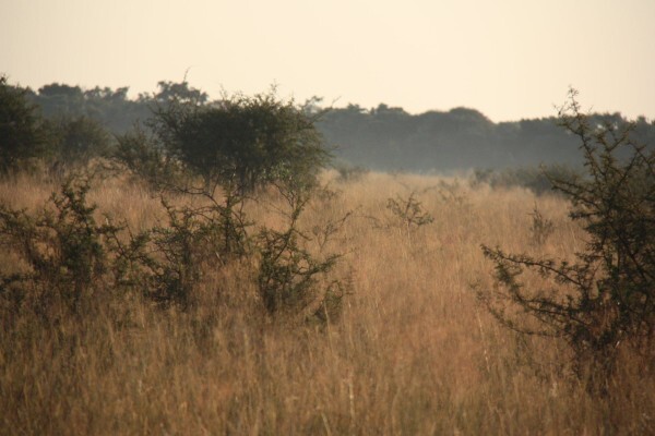 Mount Hope Private Game Reserve