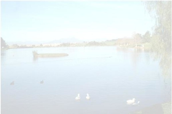 Golden Pond
