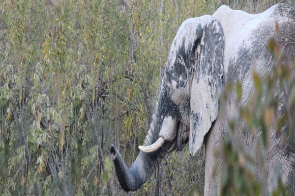 Kwalata Wilderness