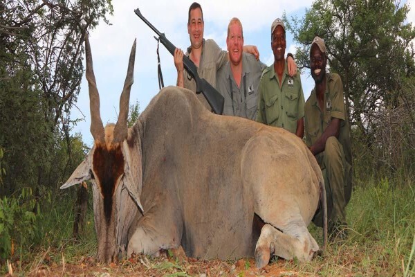 Kwalata Wilderness