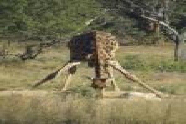 Mount Hope Private Game Reserve