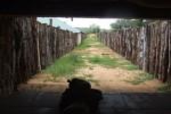 Mount Hope Private Game Reserve