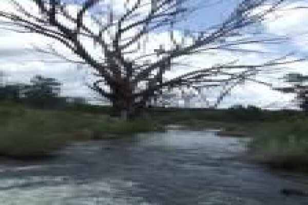 Mount Hope Private Game Reserve