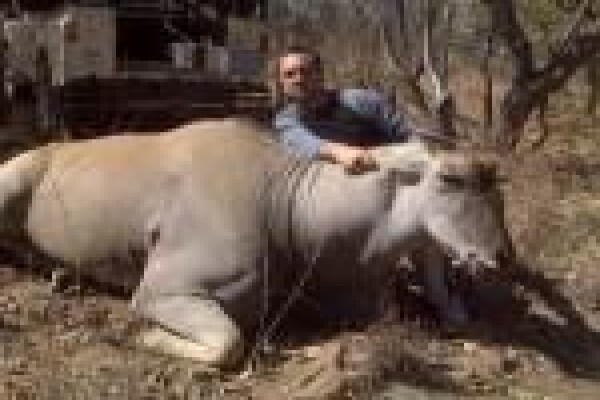 Mount Hope Private Game Reserve