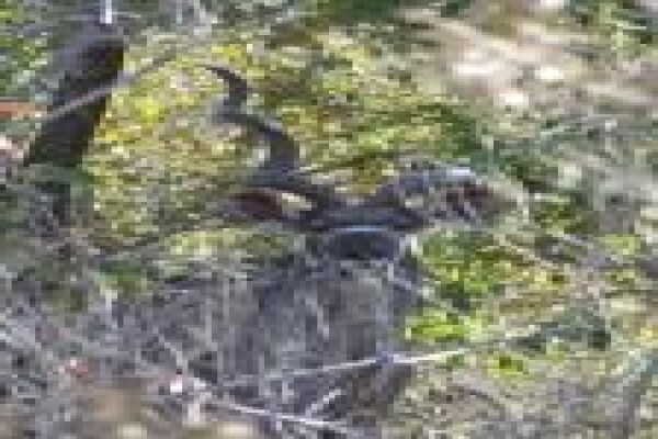 Mount Hope Private Game Reserve