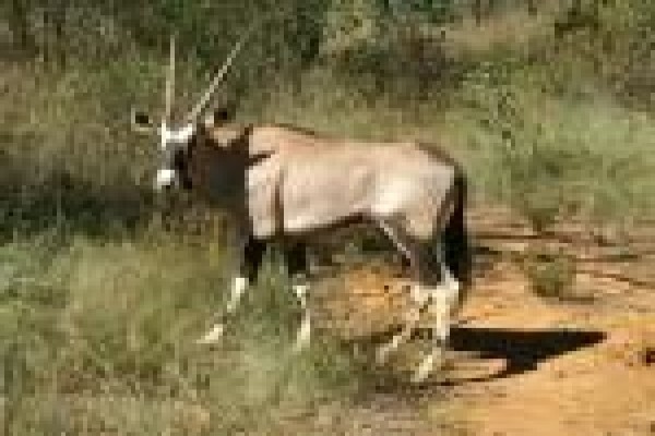 Mount Hope Private Game Reserve