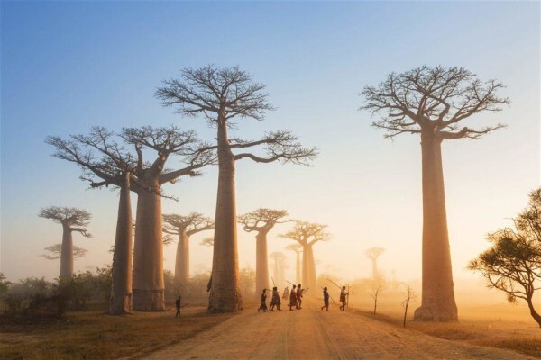 Perfectafrica
