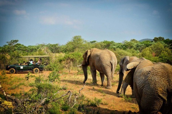 Perfectafrica